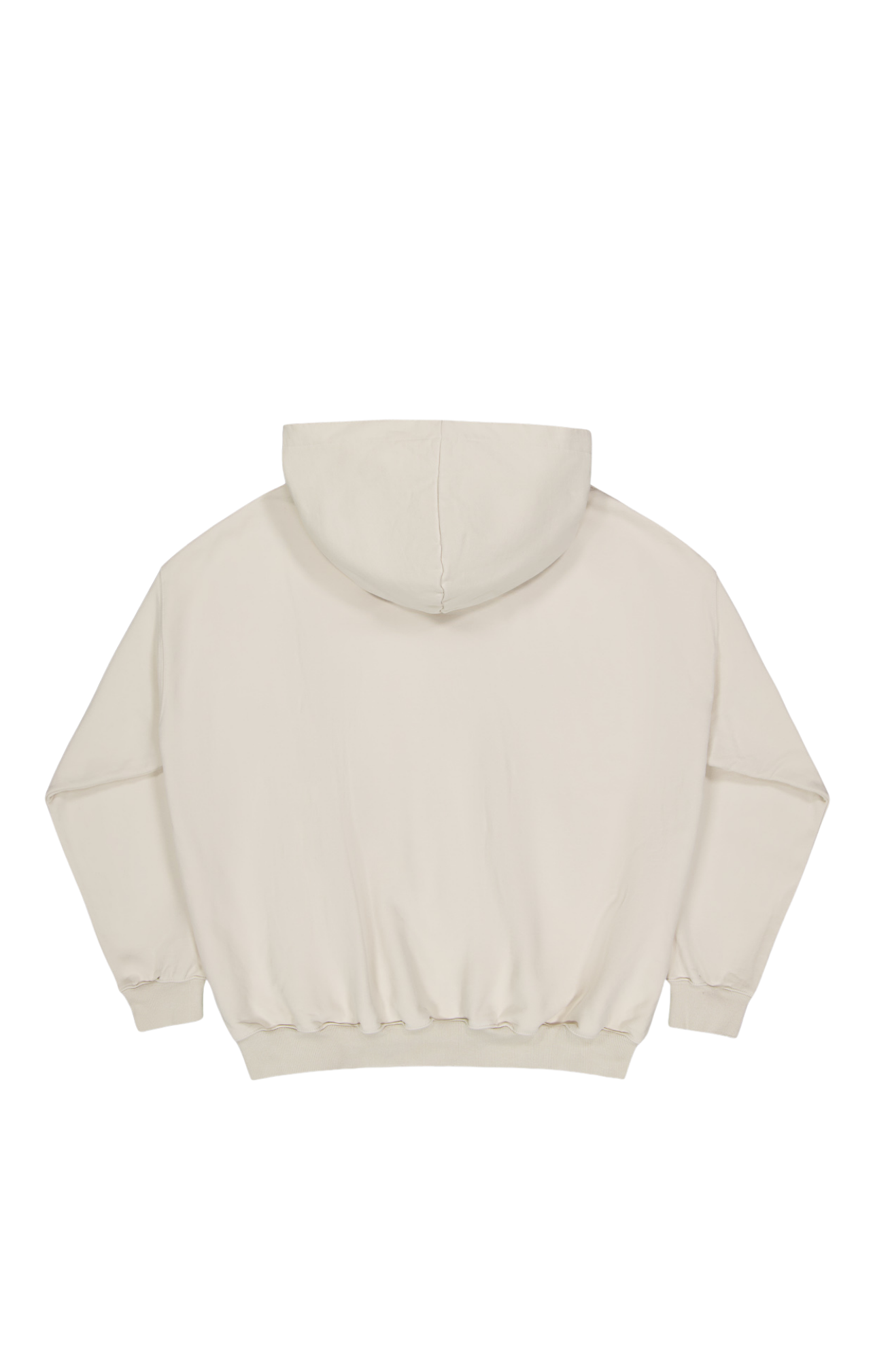 VINTAGE ZIP HOODY - Washed bone